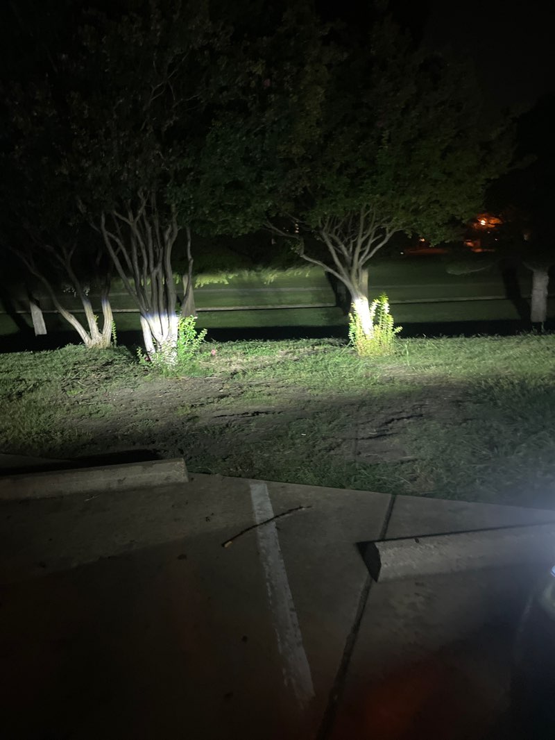 walking near me in Winniford Park in autumn