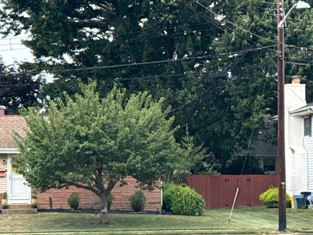 walking near me in Sunset Manor Park in autumn