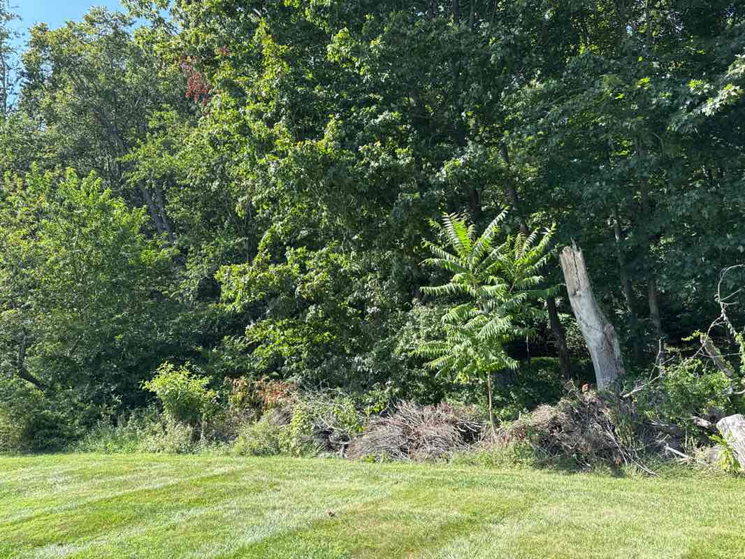 walking near me in Mercer Meadows County Park - Equestrian District in autumn