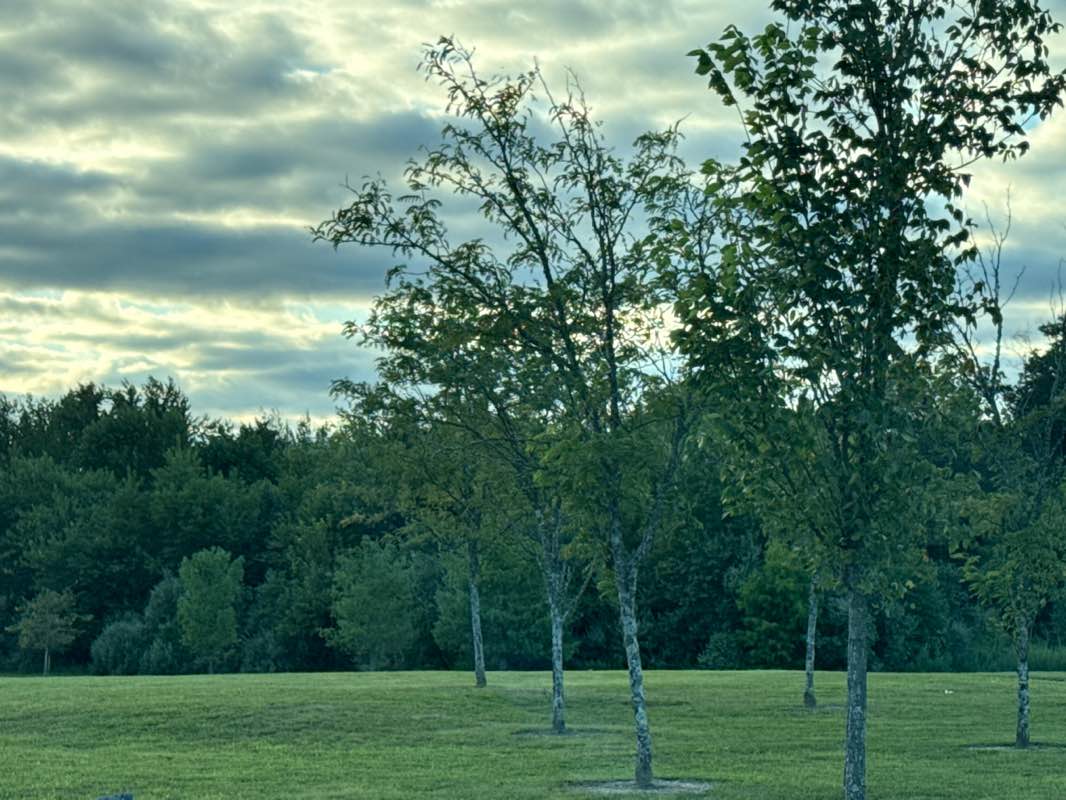 walking near me in Duck Pond Park in autumn