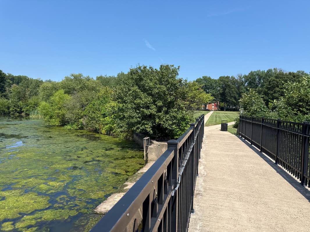 walking near me in Campus Green in autumn