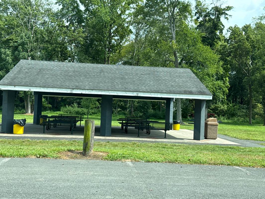 walking near me in John S Watson Park in autumn