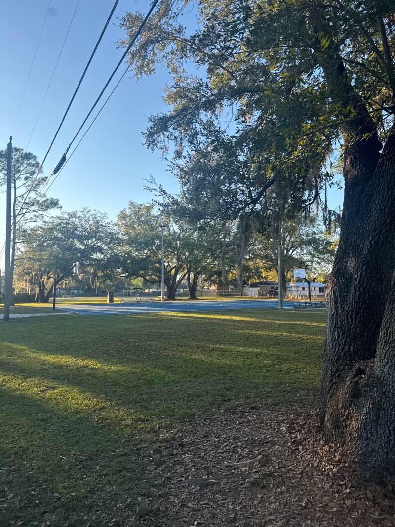 walking near me in Bookertown Park in winter