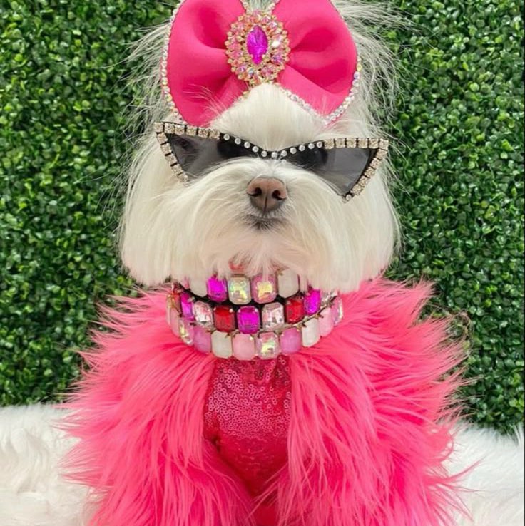 Christine 🌷 profile