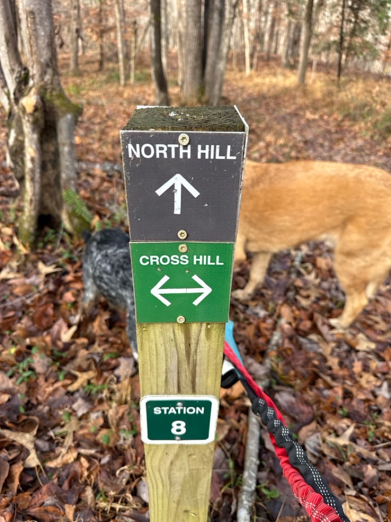 walking near me in Pleasant Grove Park in autumn