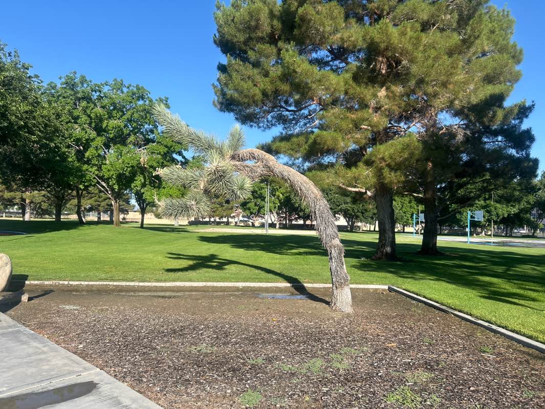 walking near me in Deputy Pierre W. Bain Park/East Side Pool in summer