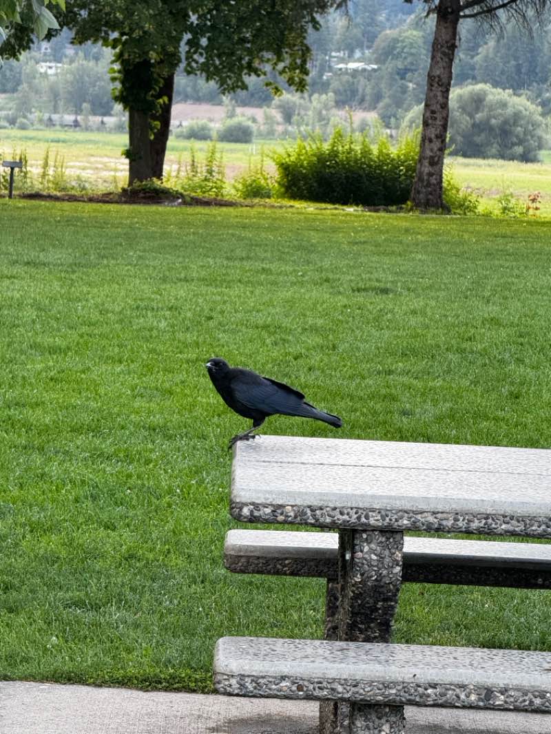 walking near me in Marine Park in summer