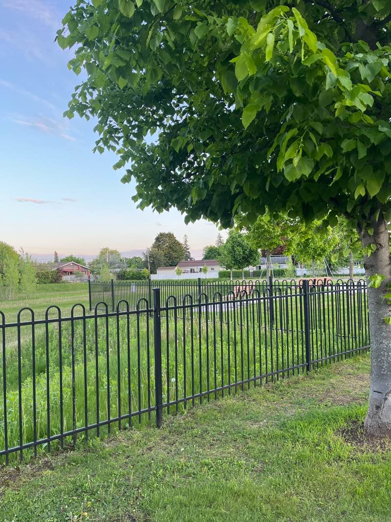 walking near me in Parc d'Alexandrie in spring