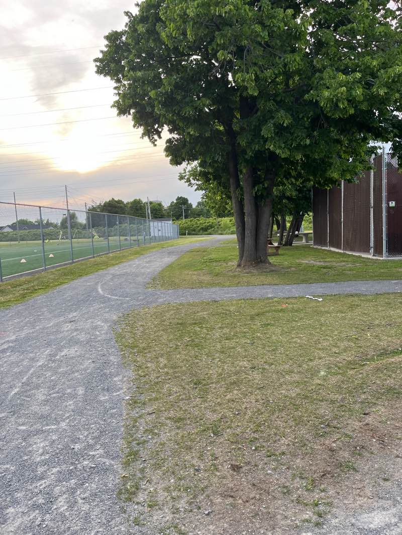 walking near me in Parc Lausanne in summer