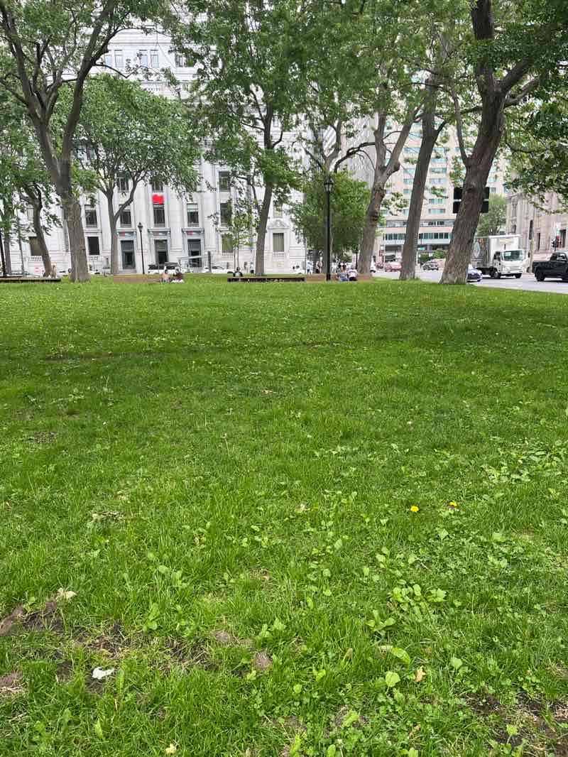 walking near me in Square Dorchester in summer