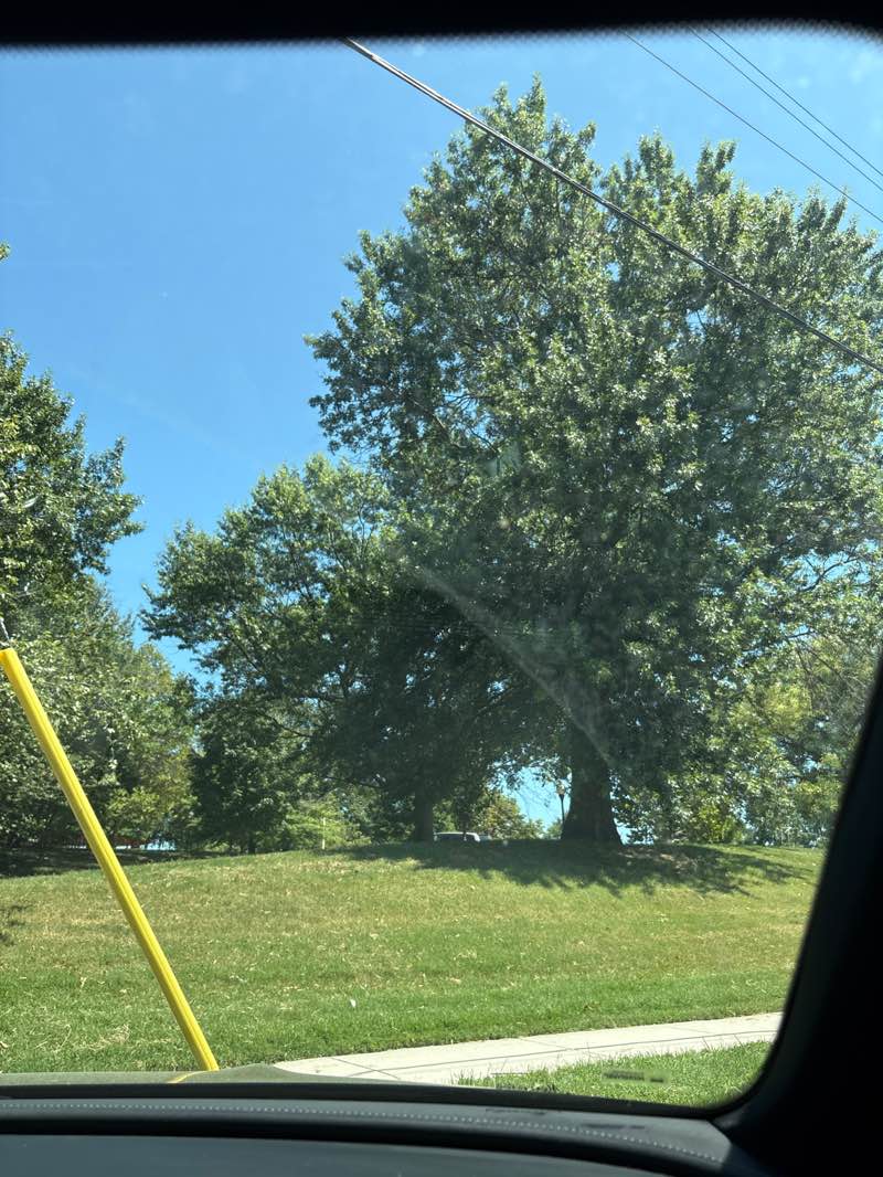 walking near me in Riverside Park in autumn