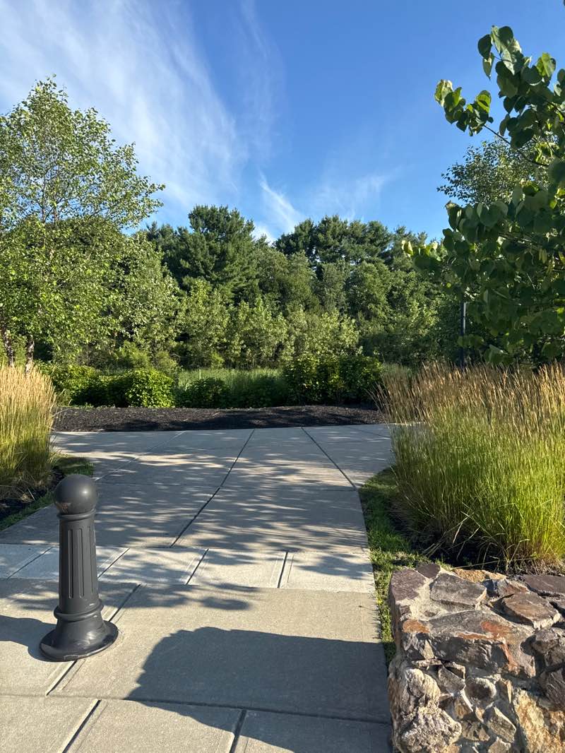 walking near me in University Station Park in autumn