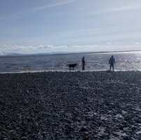 Katherine Stokes profile