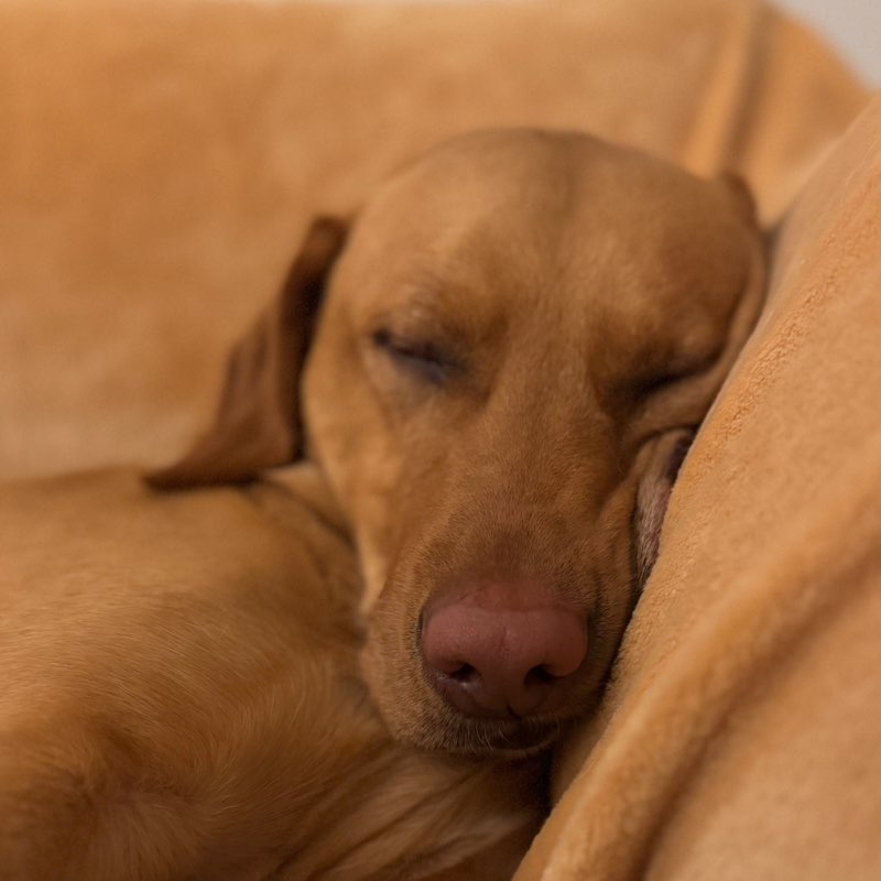 florenceapril8 profile