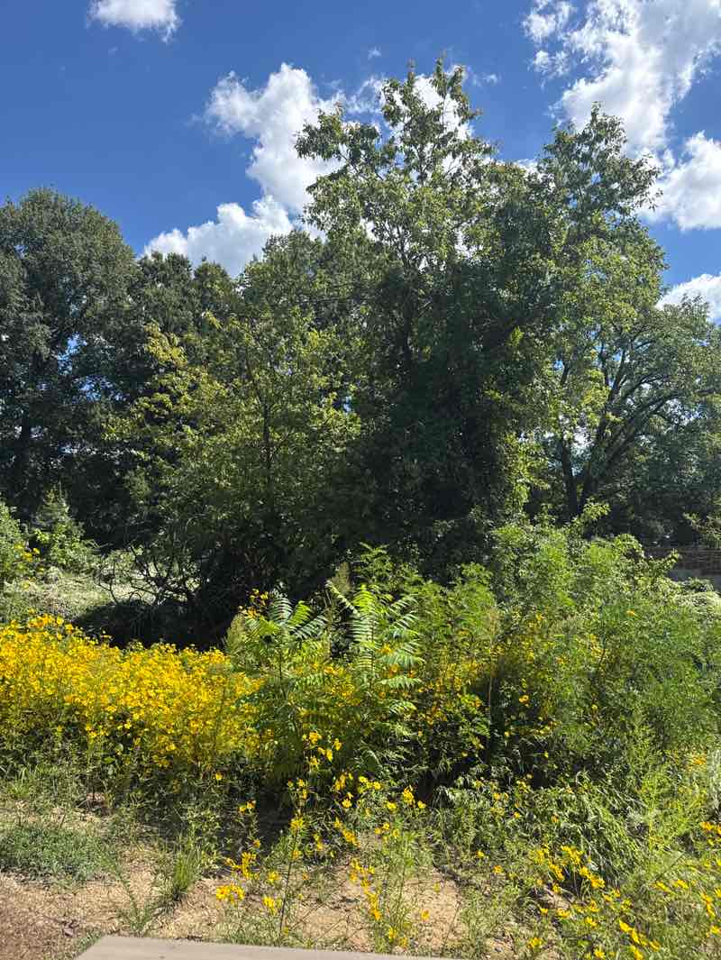 walking near me in Alexandria African American Heritage Park in autumn