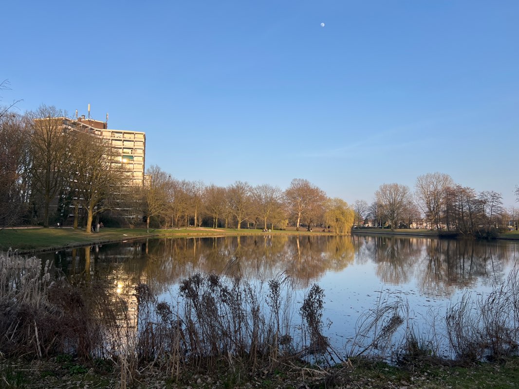 walking near me in Proosdijpark in spring