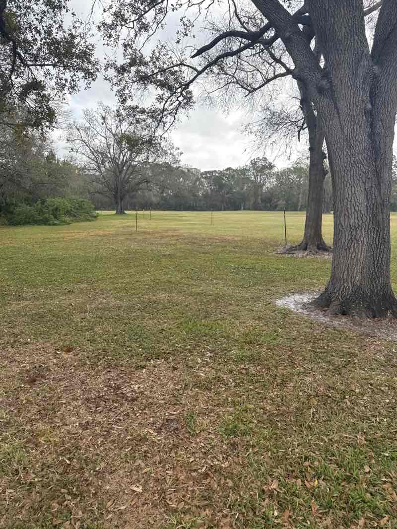 walking near me in Al Lopez Park in winter