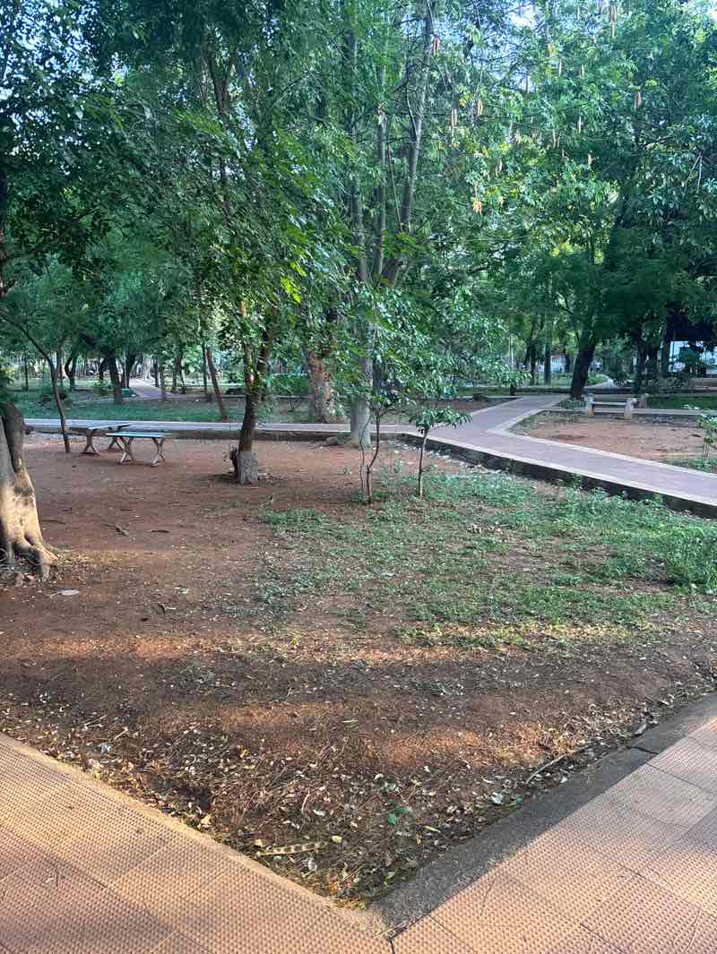 walking near me in Madurai Corporation Eco Park in spring