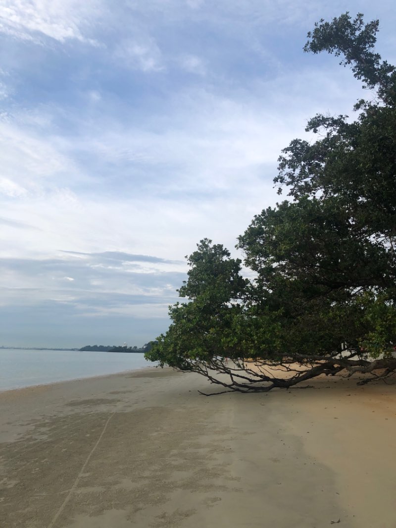 walking near me in Saujana Beach Park in winter
