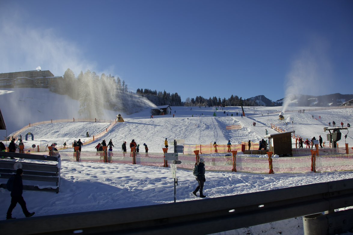 Uncle Alakori profile