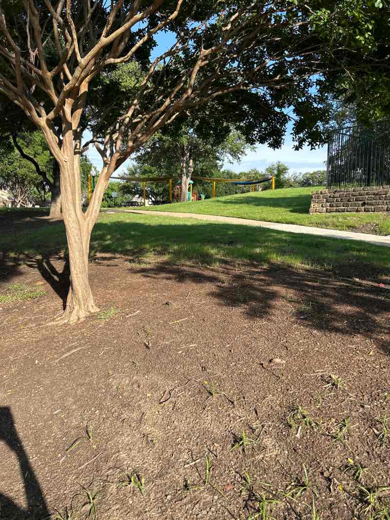 walking near me in Saddlehorn Park in spring