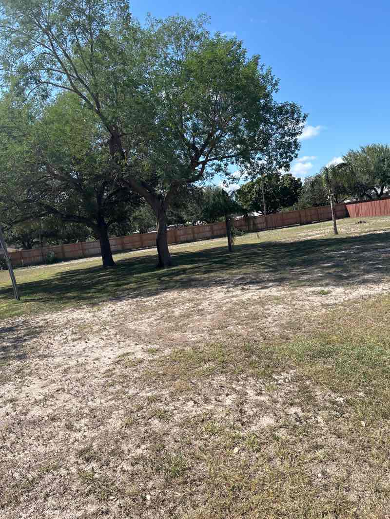 walking near me in La Promesa Park in autumn