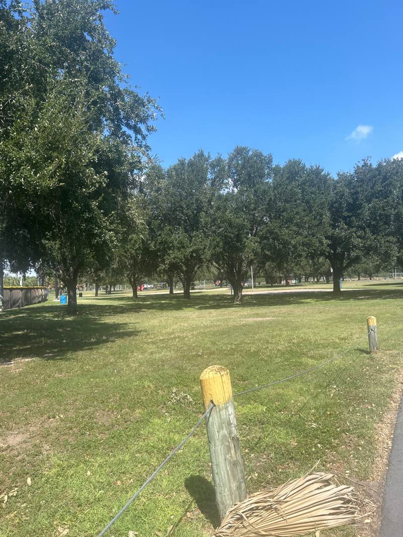 walking near me in Westside Park in autumn
