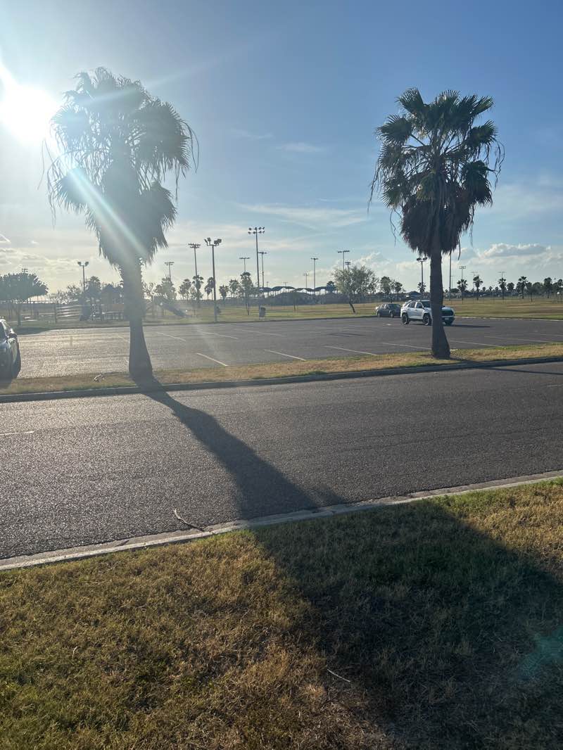 walking near me in Bentsen Palm Community Park in autumn
