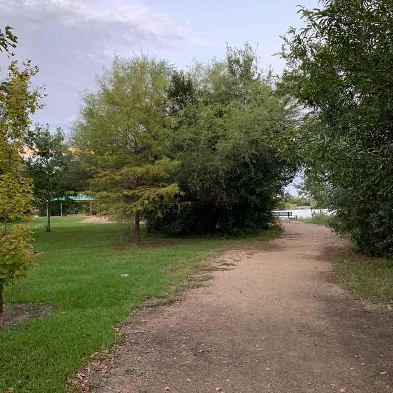 👒 快樂運動✈️🍁Happy Sports🐋🐬✨🌸 Mikey post image