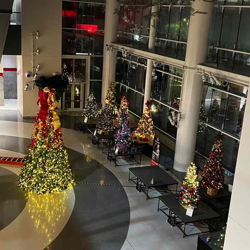 👒 快樂運動✈️🍁Happy Sports🐋🐬✨🌸 Mikey post image