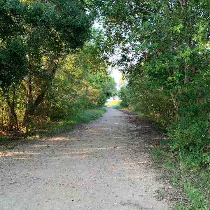 👒 快樂運動✈️🍁Happy Sports🐋🐬✨🌸 Mikey post image