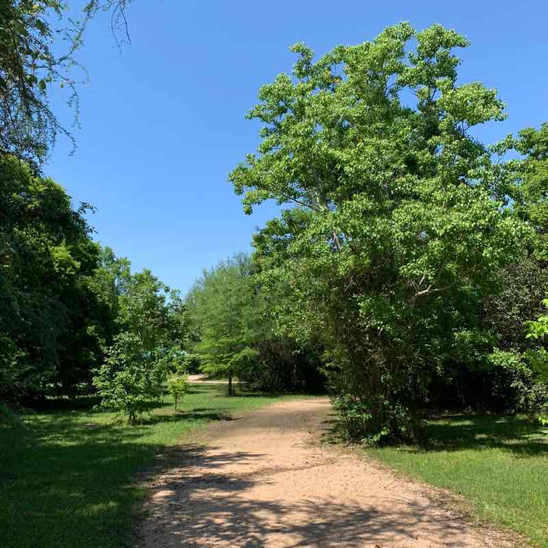 👒 快樂運動✈️🍁Happy Sports🐋🐬✨🌸 Mikey post image