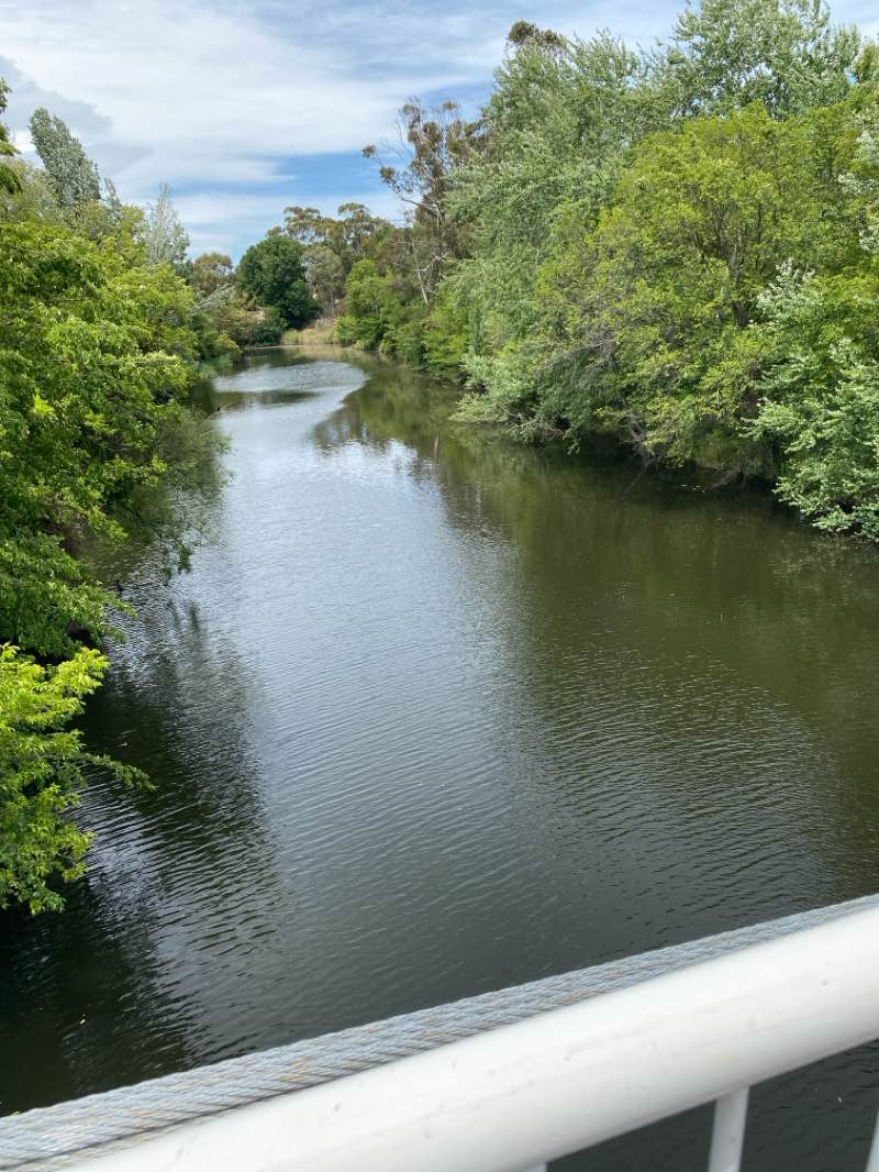 walking near me in Waniassa Park in summer