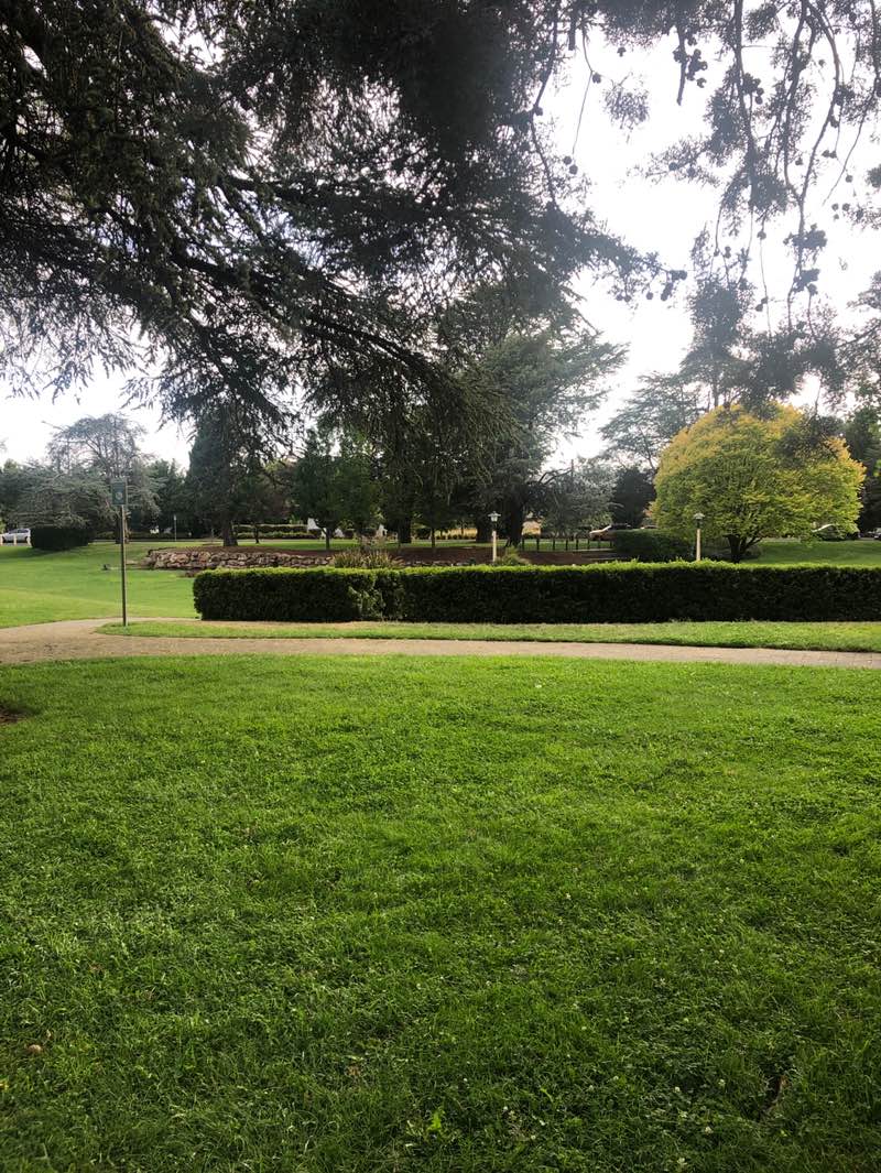 walking near me in Queanbeyan Park in summer