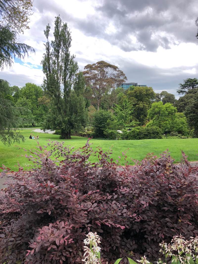 walking near me in Treasury Gardens in spring