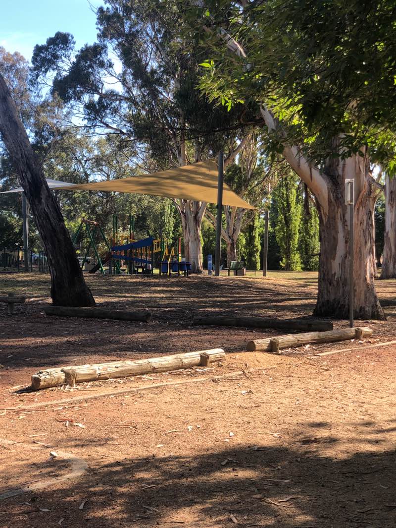 walking near me in Telopea Park in summer