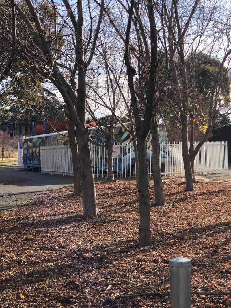 walking near me in Railway Park in winter