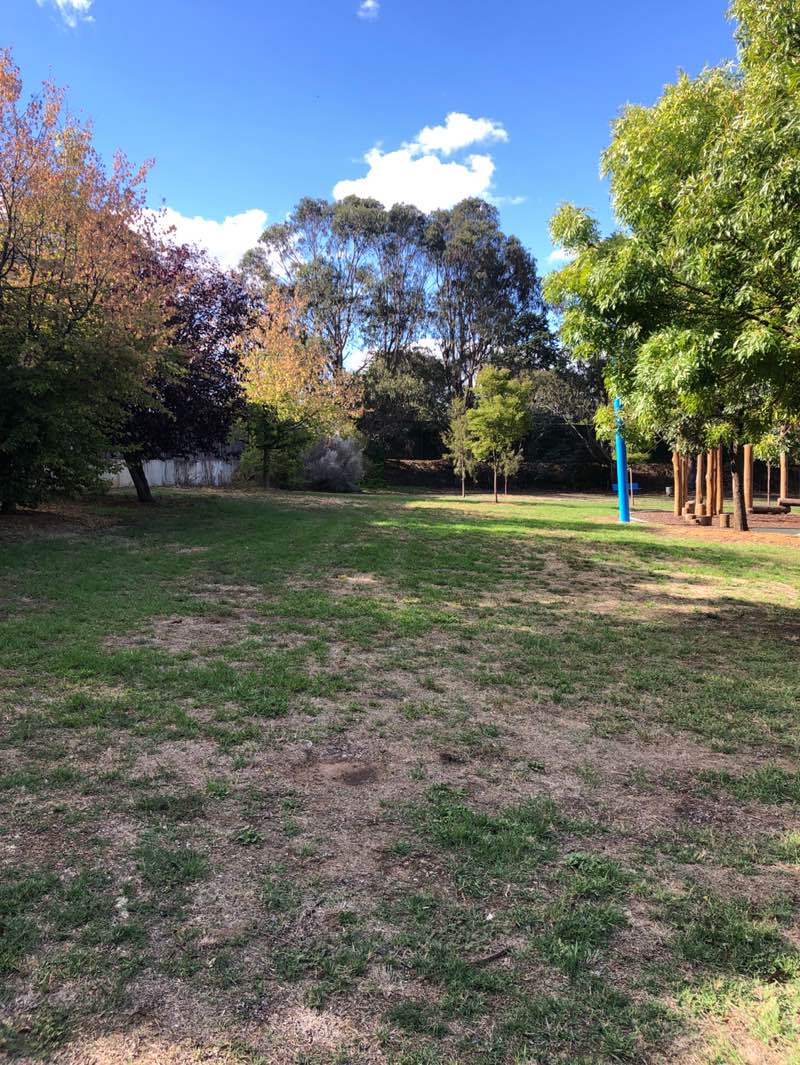 walking near me in Ernie Beaver Park in summer