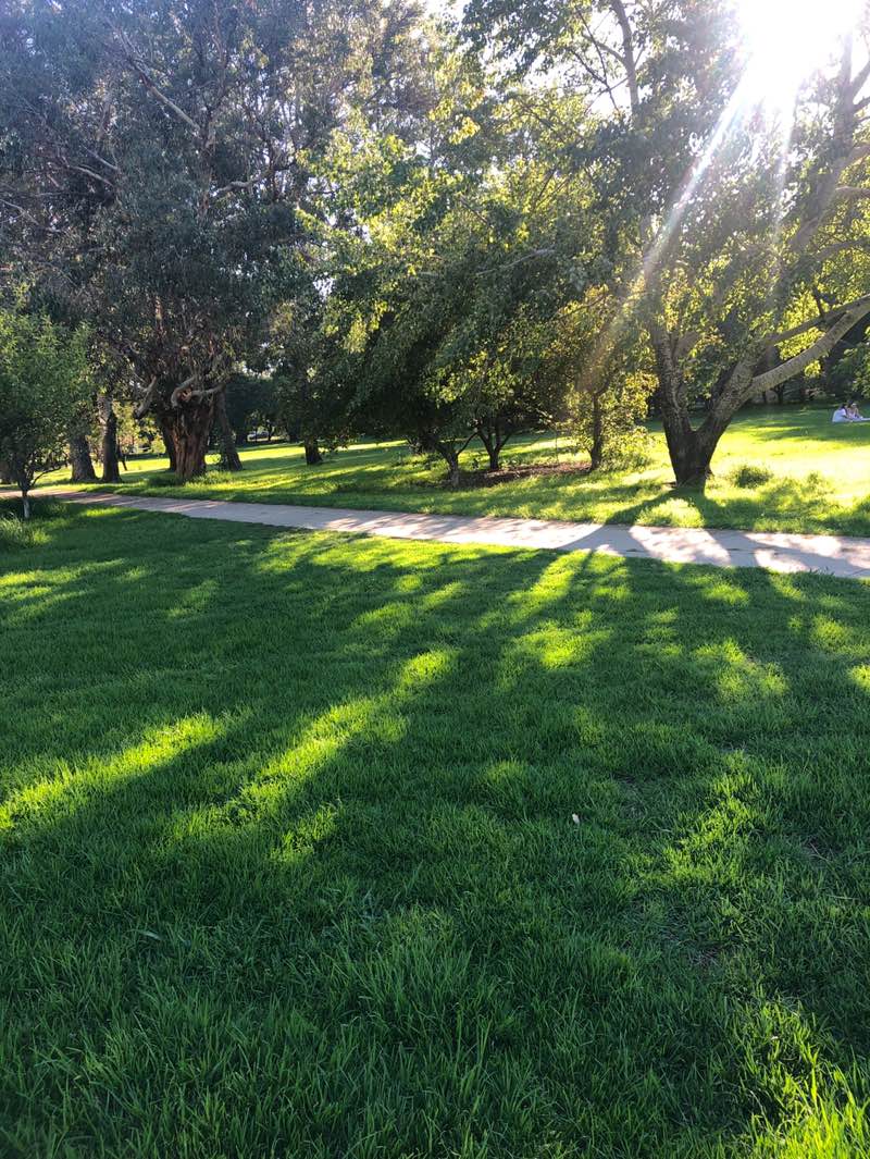 walking near me in Bowen Park in autumn