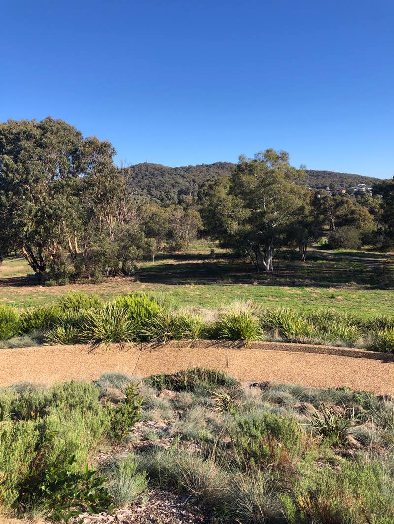 walking near me in Bicentennial Park in autumn