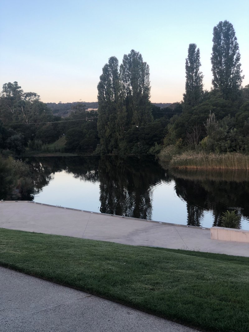 walking near me in Queen Elizabeth Park in autumn