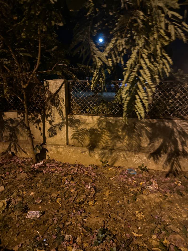 walking near me in Nirmal Nagar Park in spring