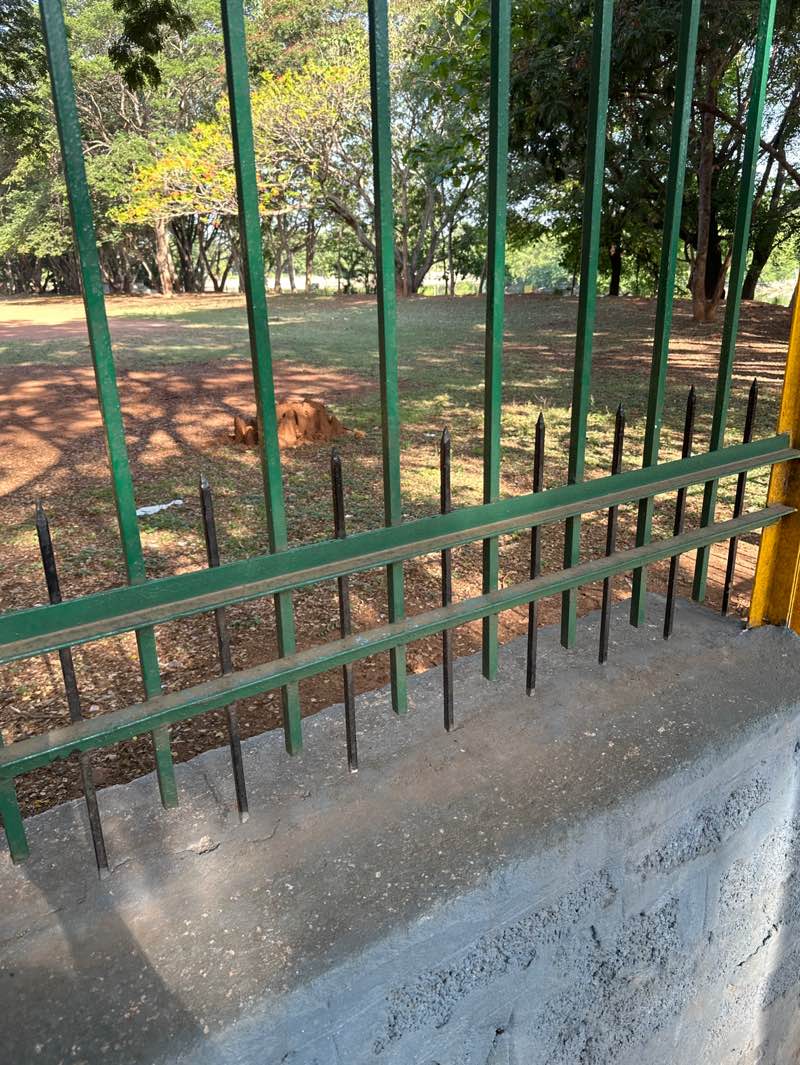 walking near me in Sadhankeri Park in spring