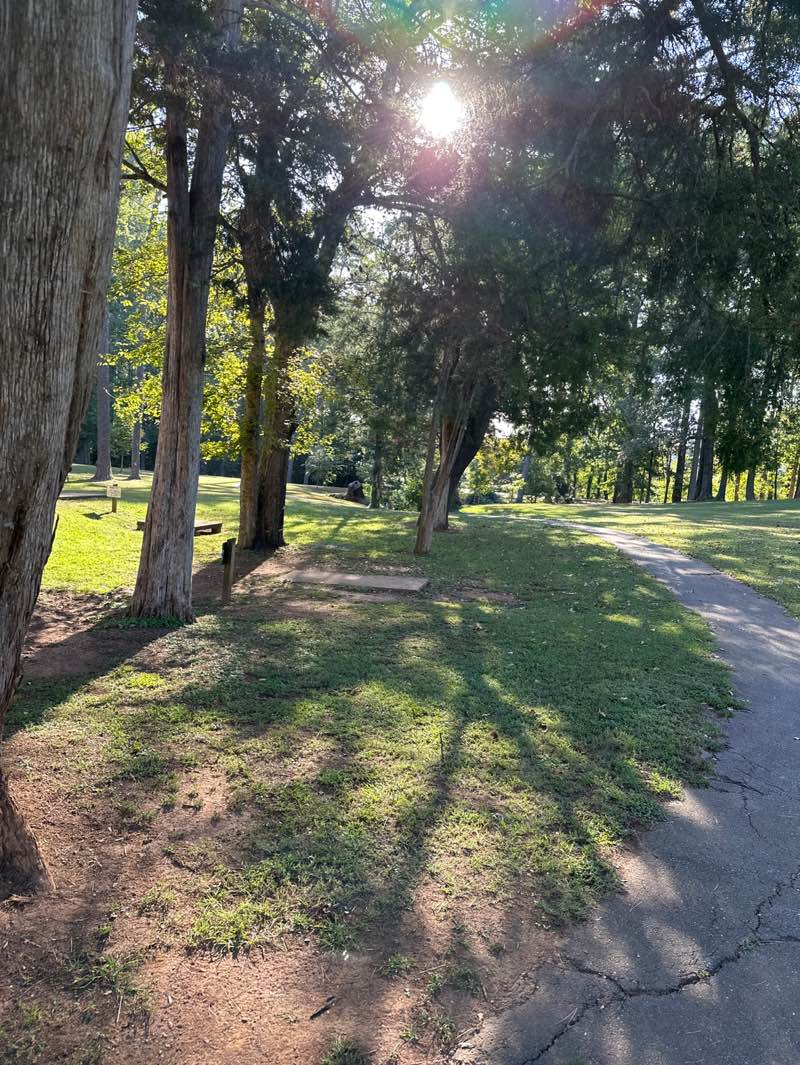 walking near me in Holmes Park in autumn