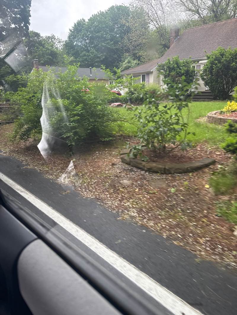 walking near me in Massapoag Trail And Brook in spring