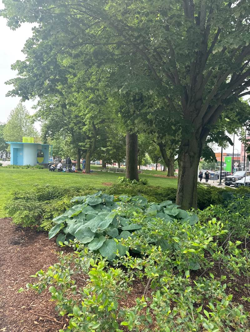 walking near me in City Hall Park in summer