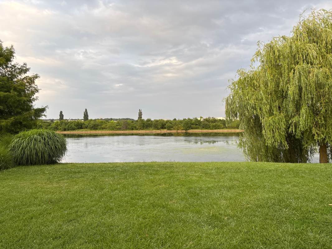 walking near me in Parcul Dendrologic Chitila in summer