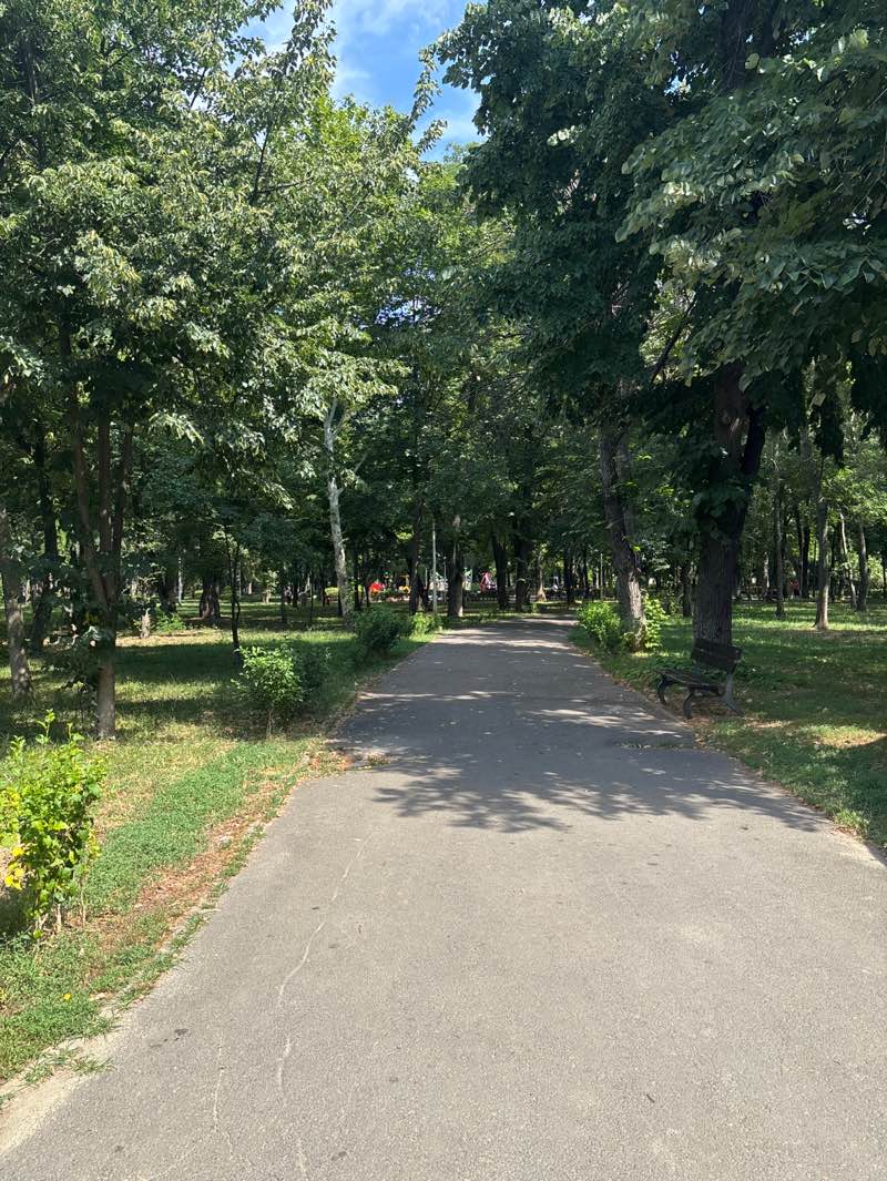 walking near me in Parcul Bazilescu in summer