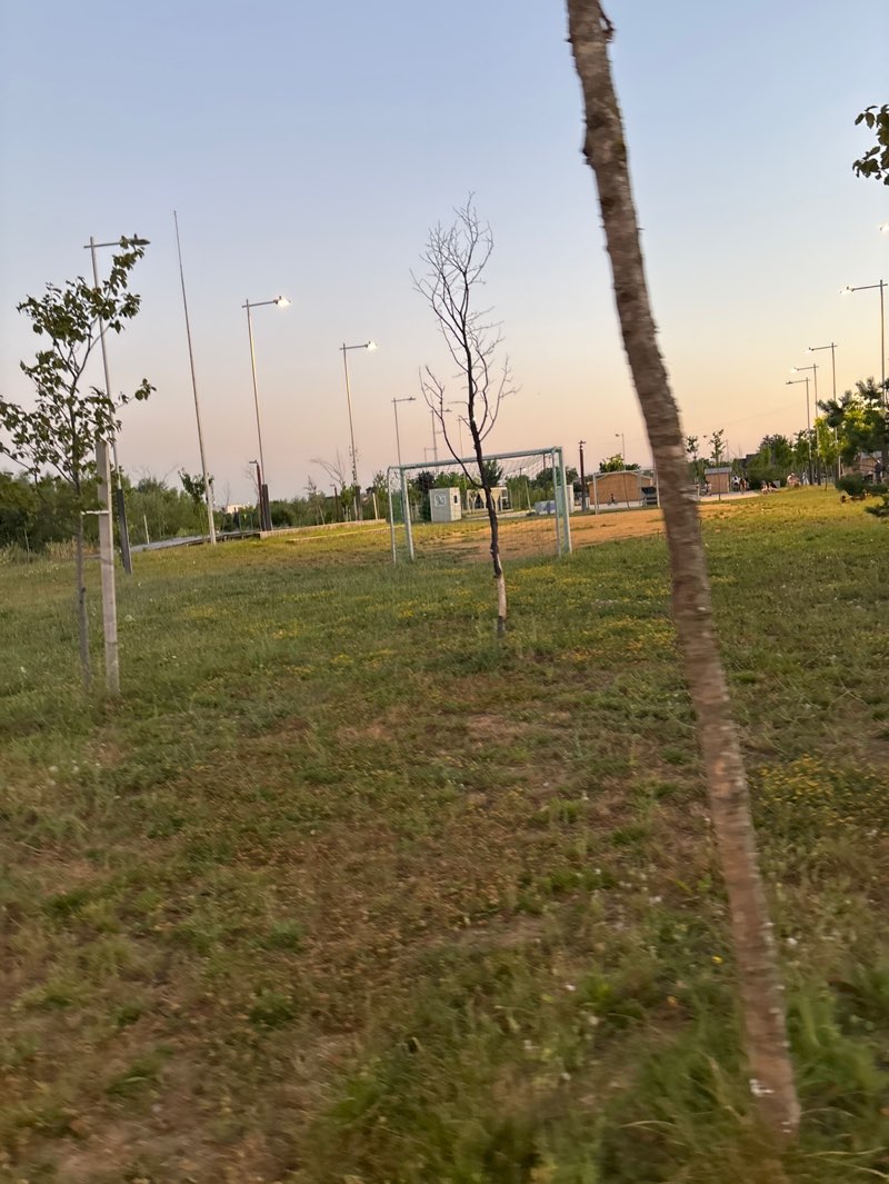 walking near me in Parcul Valea Mangului in summer