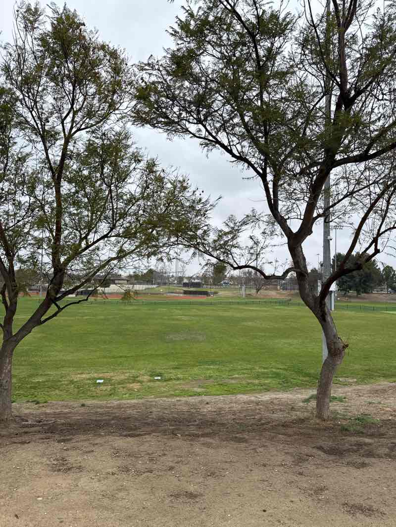 walking near me in Harada Heritage Park in winter